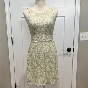 Altar'd State Lace Mini Dress - Light Green